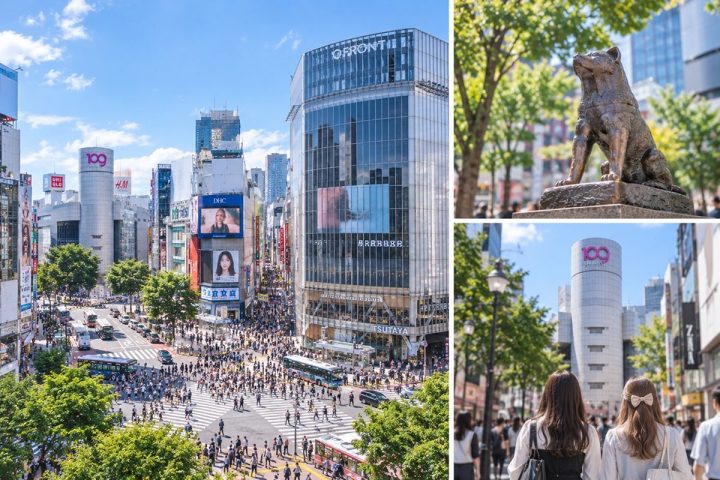 Shibuya